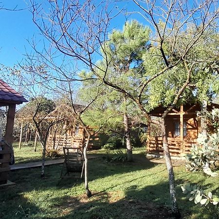 Hotel Genacvale in Bandza Martvili Exterior foto