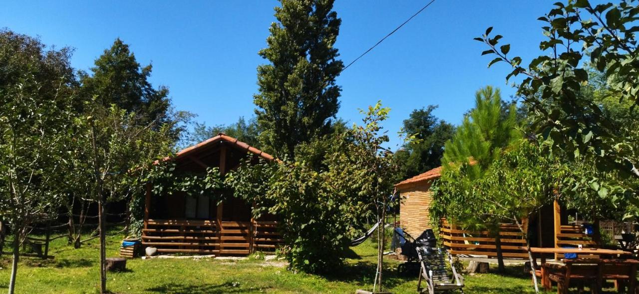 Hotel Genacvale in Bandza Martvili Exterior foto