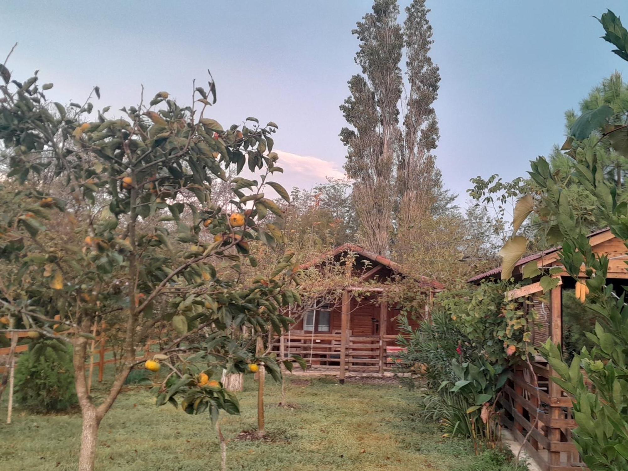 Hotel Genacvale in Bandza Martvili Exterior foto